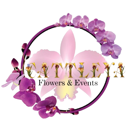 Cattleya Events